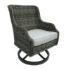 Biloxi Bay Sw. Dining Chair